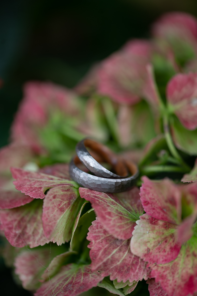 Eheringe auf roten Blättern - vor der Bearbeitung